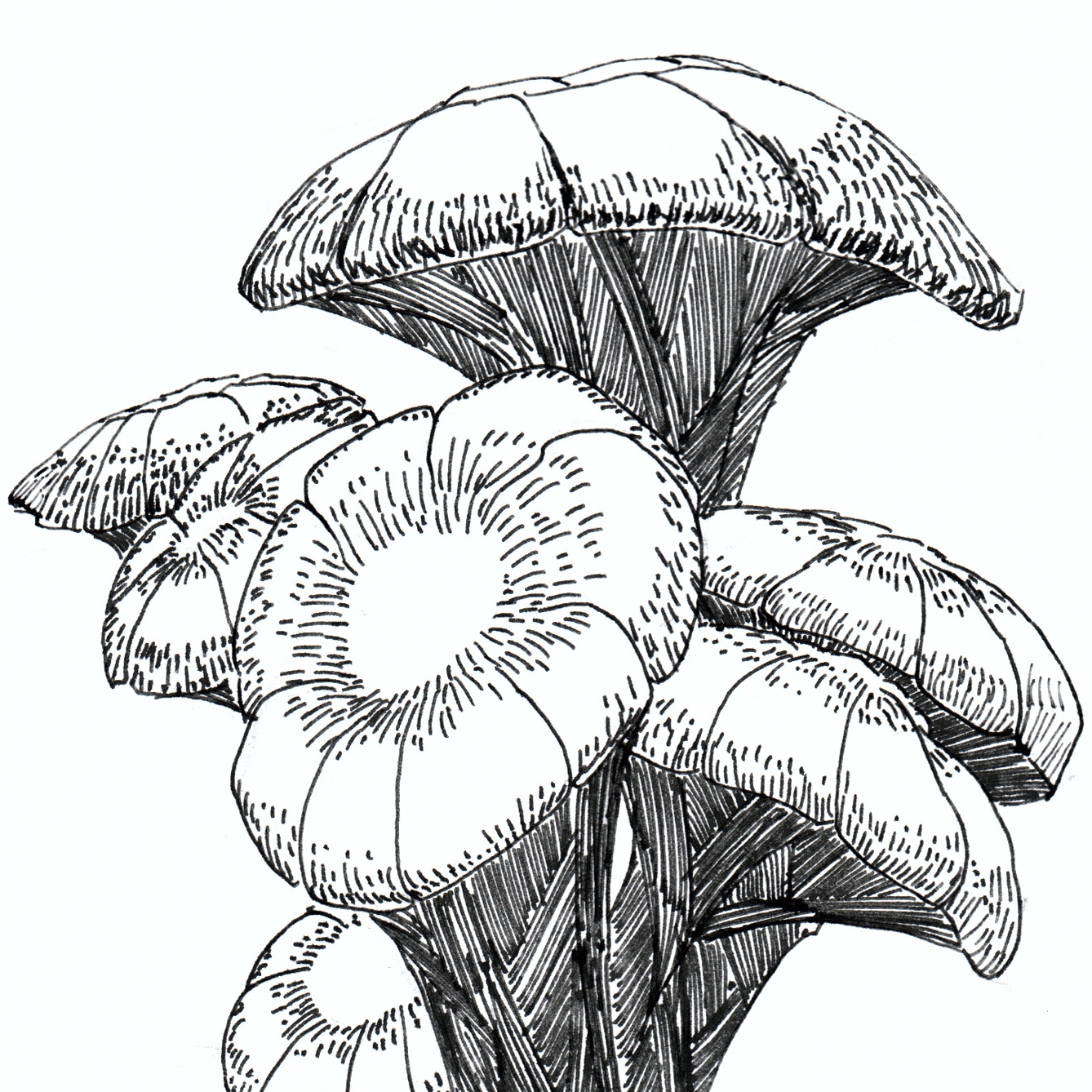 Alchemists Almanach